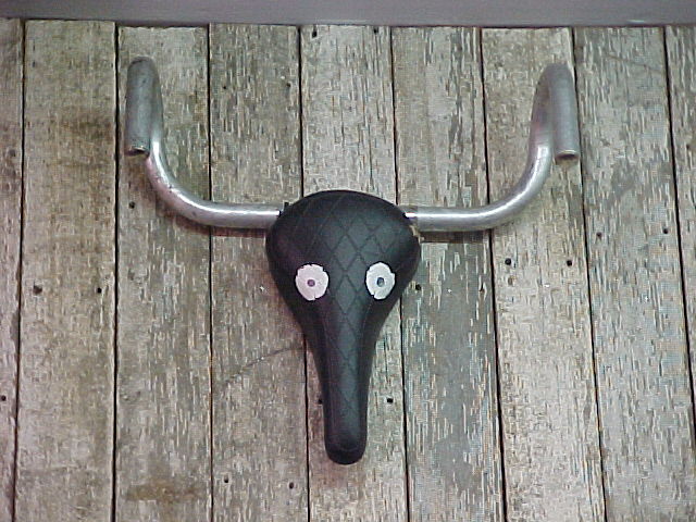 Cow Skull